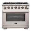 Forno 36″ Pro Series Capriasca Gas Burner / Gas Oven in Stainless Steel 6 Italian Burners, FFSGS6260-36 - Smart Kitchen Lab