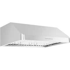 ZLINE 30 in. Alpine Series Professional Ducted Under Cabinet Range Hood in Stainless Steel, ALP10UC-30 - Smart Kitchen Lab