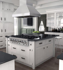 ZLINE 42 in. Outdoor/Indoor Island Stainless Range Hood, 597i-304-42 - Smart Kitchen Lab