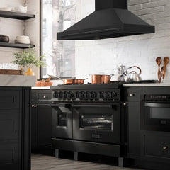 ZLINE 48 In. Black Stainless Steel Range Hood with Black Stainless Steel Handle, BS655-48-BS - Smart Kitchen Lab