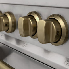 ZLINE Autograph Edition 48 Inch 6.0 cu. ft. Range with Gas Stove and Gas Oven in Stainless Steel with Champagne Bronze Accents, RGZ-48-CB - Smart Kitchen Lab